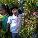 농업농촌테마마을 이미지