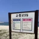 사천송림 | [강릉여행] 강릉 아이와 사천해변 해수욕장 모래놀이, 주차, 화장실 (시원한 송림 그늘)