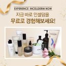 스텔라인셀덤 - 사하구 | 스텔라인셀덤