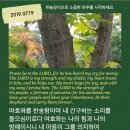 인애 이미지