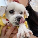 진천군수 | 나눙야 배친자 4월 기록 진천군수배 후기