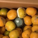 맛있개 냠냠 이미지