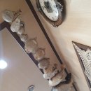 삼호복집 해물탕 이미지