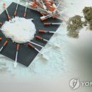 김밥전쟁식당