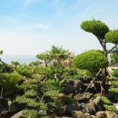 제주비치펜션 이미지