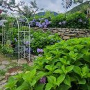 부여(외산)-6 이미지