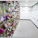 강원장의사 이미지