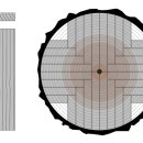 The heartwood 이미지