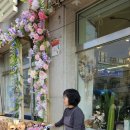 인플라워 이미지