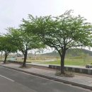 송이공원 화장실 이미지