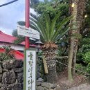 돌담이우다 펜션 이미지