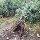 밀양농협 남명지점 이미지