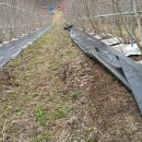 똘배농장 이미지