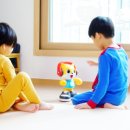 오 마이 캣 이미지