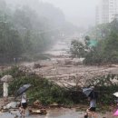 우면산5-5 이미지