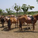 서광자연 이미지