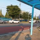 대천해수욕장 국민여가캠핑장(1지구) 이미지