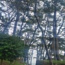 죽도공원 티스토리