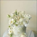 수피아플라워 이미지