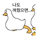 hey day 이미지
