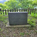 김유정 행장비 이미지