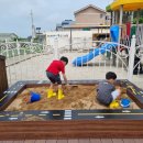 증도초등학교 이미지