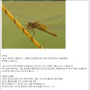 캠프타운 헥사타프XL과 어드벤쳐(5~6인용) -첫 타프 설치기 이미지