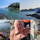 등너머민박 이미지