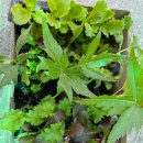 차진열농장 이미지