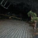 강촌꿀벌독채펜션 이미지