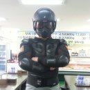 수원-0899 이미지