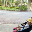 론스타호텔 이미지