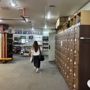 와일드복싱짐 본관 이미지