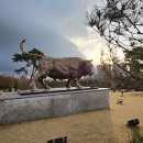 경북대동물병원 이미지