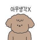 클라우드 펫 호텔 이미지