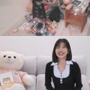 조이애견