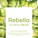 주식회사 드림커머스 이미지