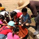 고영준농장 이미지