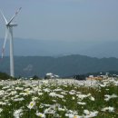 거창 항노화 힐링랜드 자연휴양림 이미지