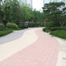 신안단지내공인중개사사무소 이미지