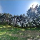 모정탑등산로(좌측) 이미지