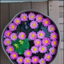 스테이아름삼달 | 우도근처펜션 스테이아름삼달에서 친구들과 힐링하고 온 후기