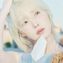 브라이트라이트 이미지