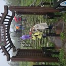 오대산 노인봉과 소금강계곡길 이미지