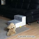 눈치 - 광산구 신창로138번길 23-2 | 눈치