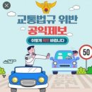 교통위반 신고할 때 꿀팁 이미지