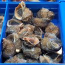 노다지유통 이미지