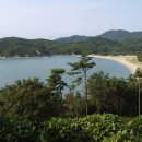 서포리 해수욕장 Daum카페