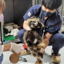 서울시 야생동물 구조관리센터 이미지