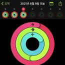 밀크애드 네이버블로그